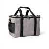 Amazon Basics Collapsible Insulated Cooler Bag Gray 40L 50 Can-1