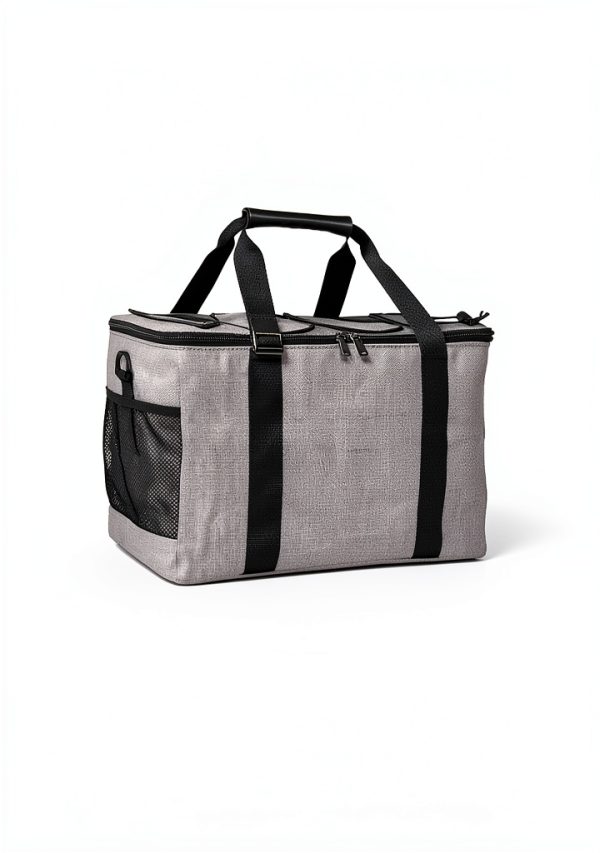 Amazon Basics Collapsible Insulated Cooler Bag Gray 40L 50 Can-1